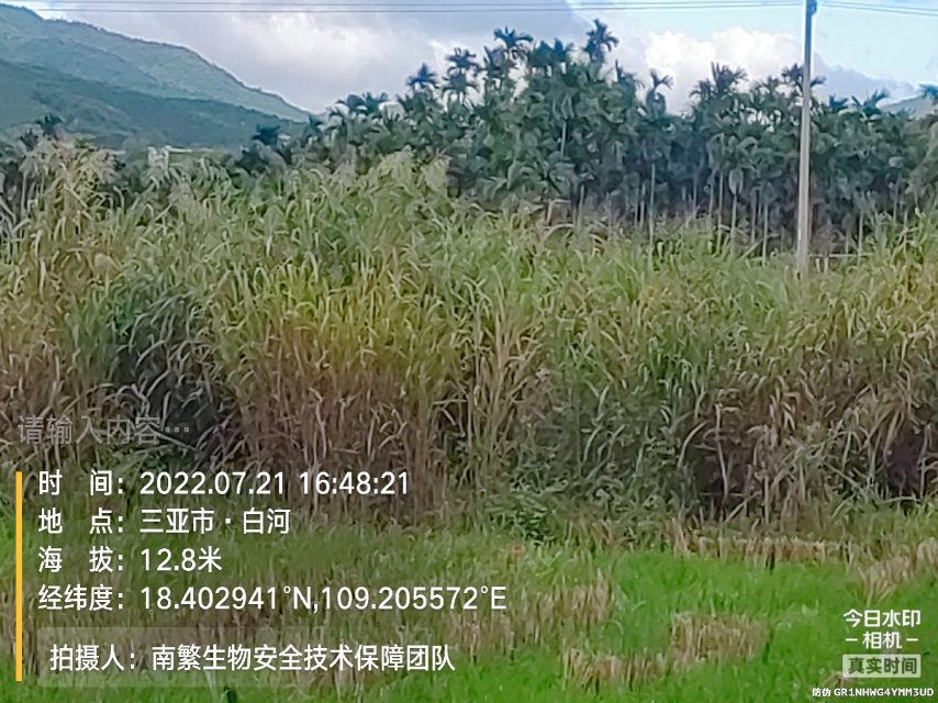 请输入内容…