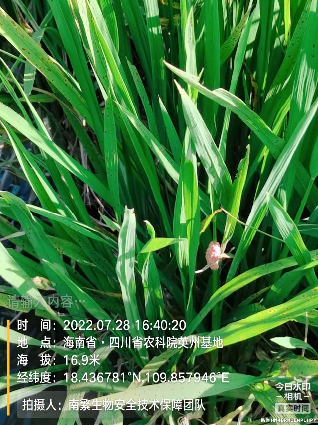 请输入内容…