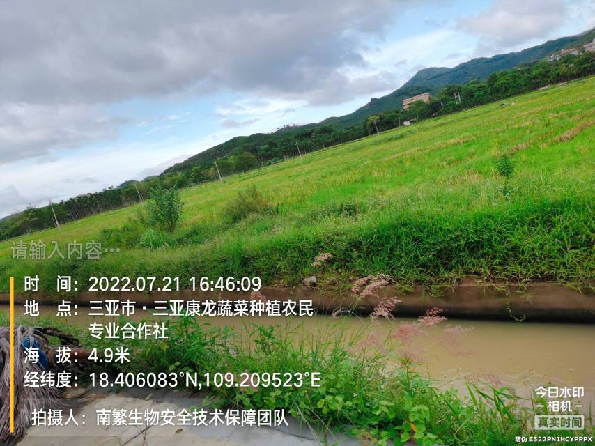 请输入内容…