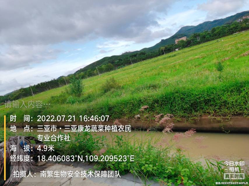 请输入内容…