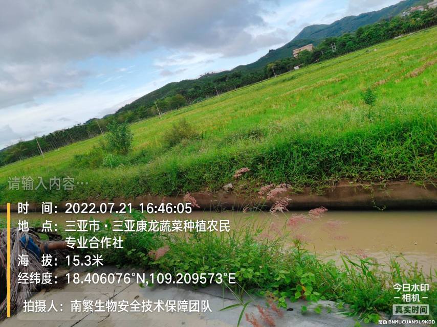 请输入内容…