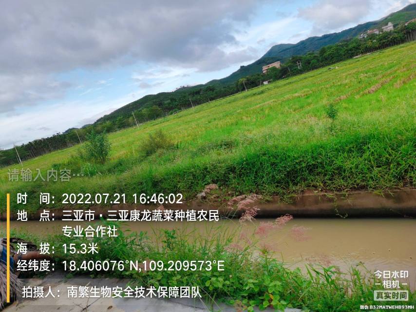 请输入内容…