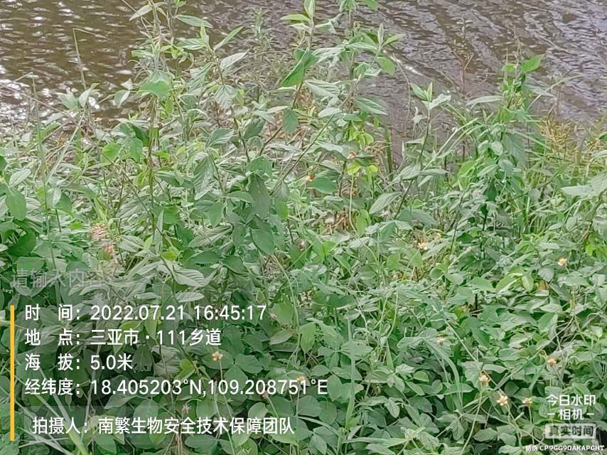 请输入内容…