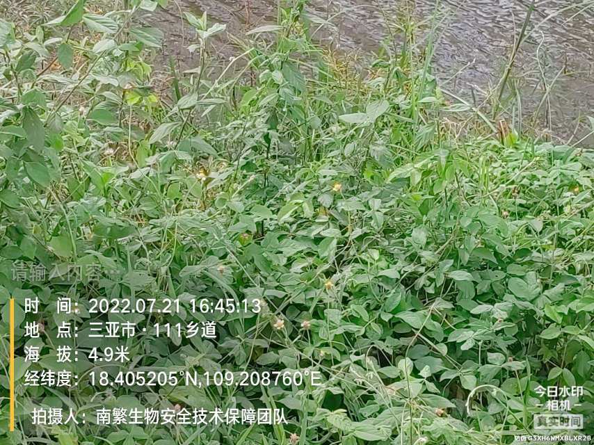 请输入内容…