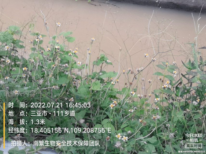 请输入内容…