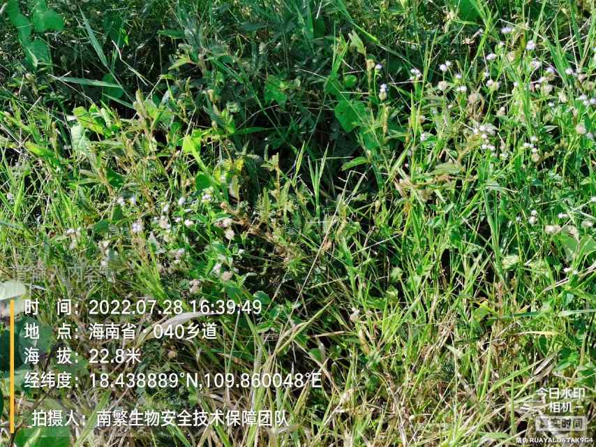 请输入内容…