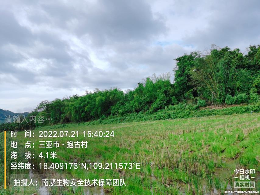 请输入内容…