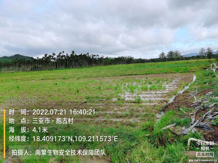 请输入内容…