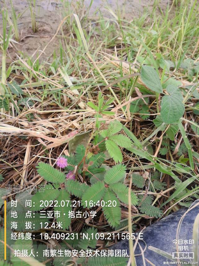 请输入内容…
