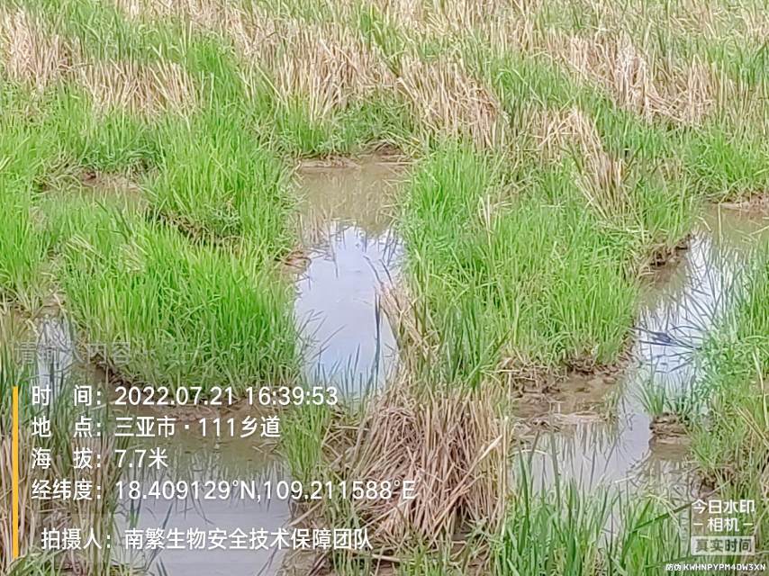请输入内容…