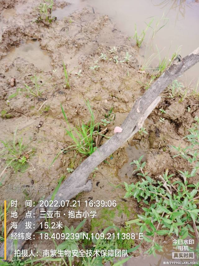 请输入内容…