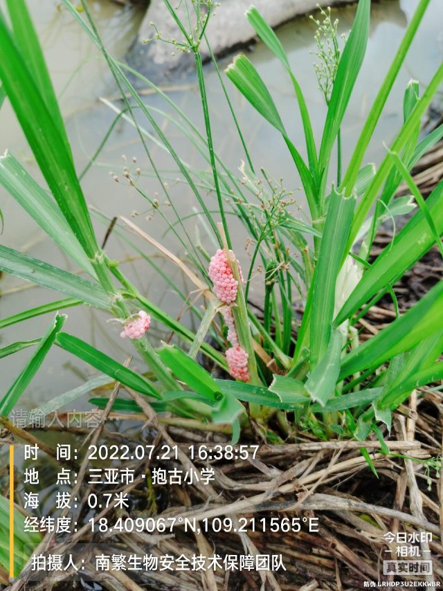 请输入内容…