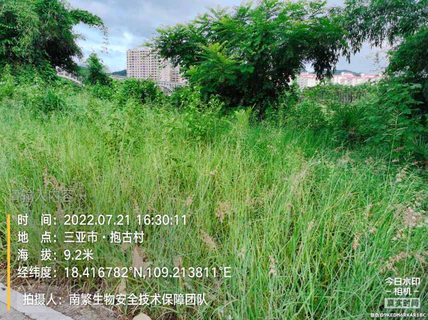 请输入内容…