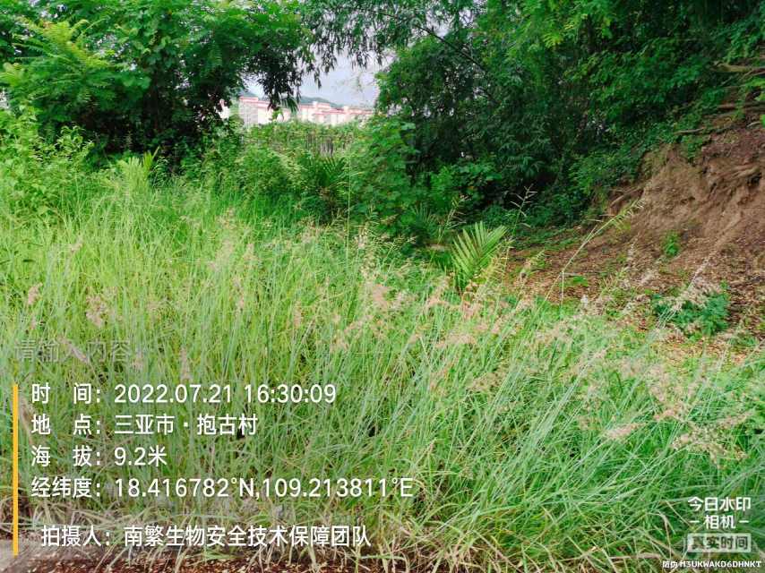 请输入内容…