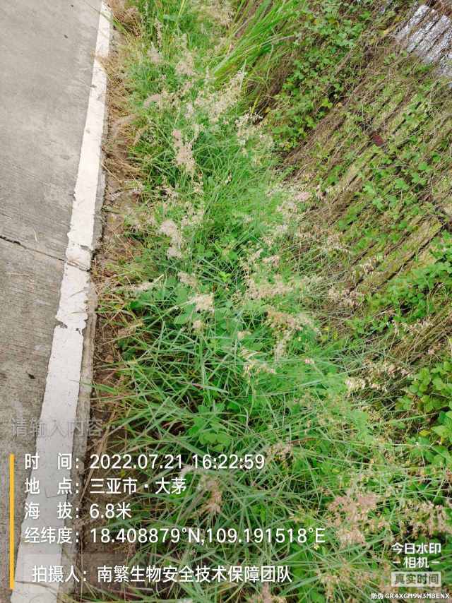 请输入内容…