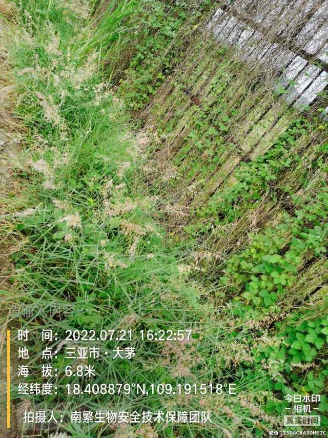请输入内容…