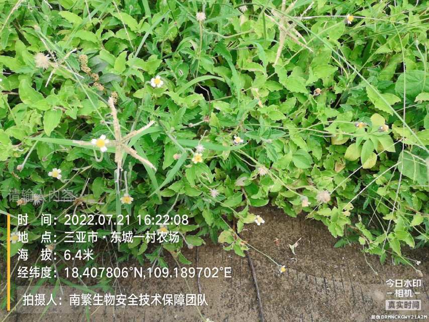 请输入内容…