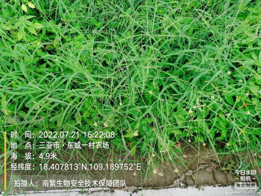 请输入内容…
