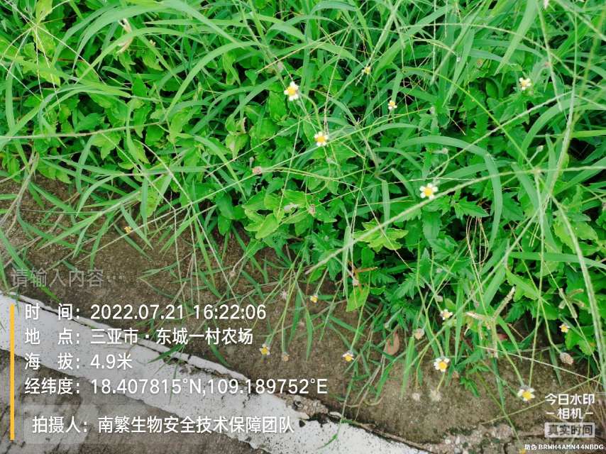 请输入内容…