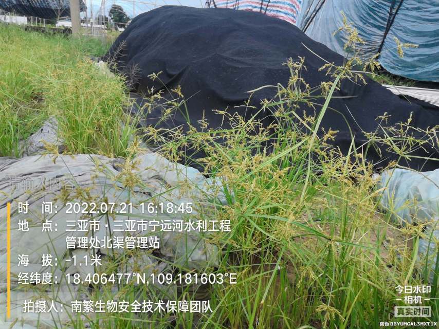 请输入内容…