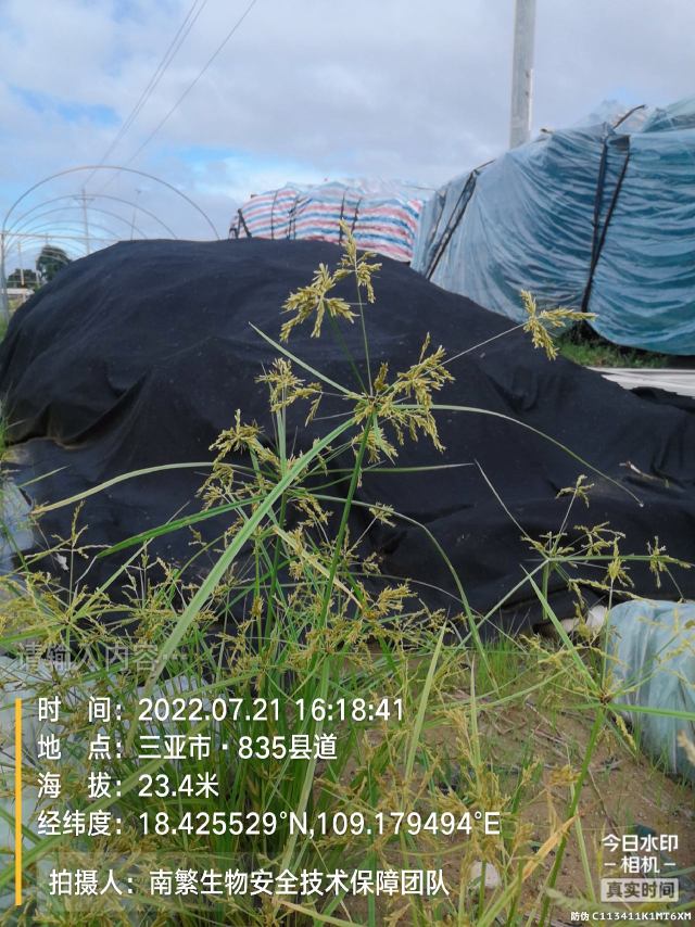 请输入内容…