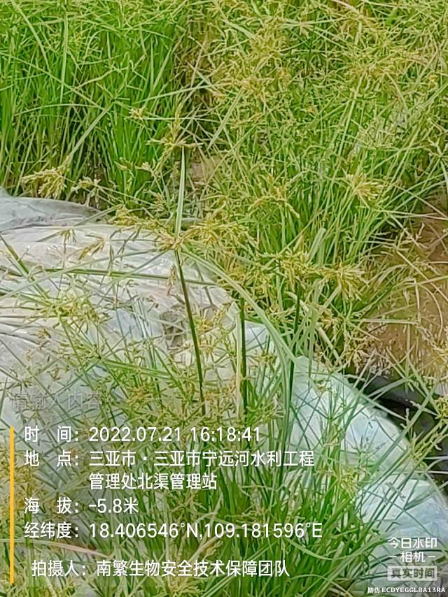 请输入内容…