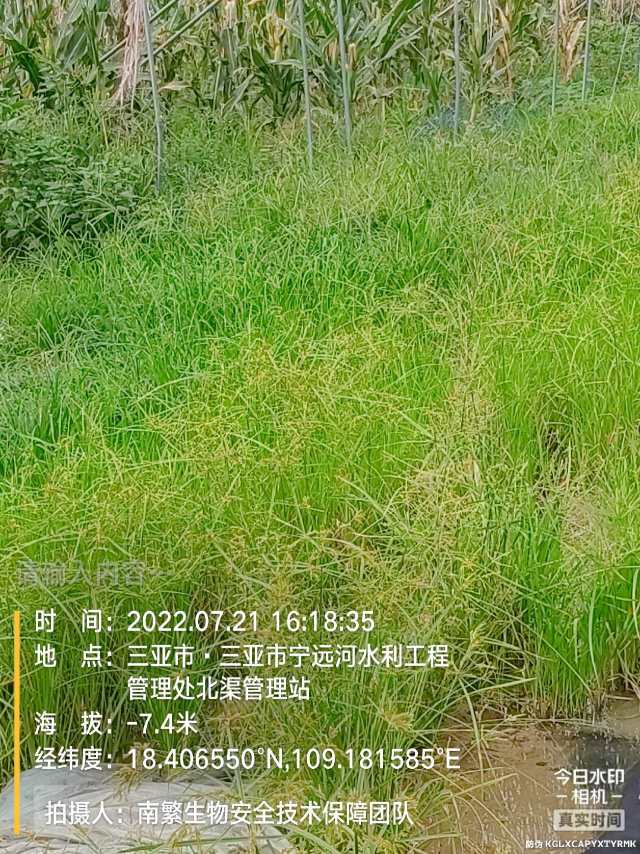 请输入内容…