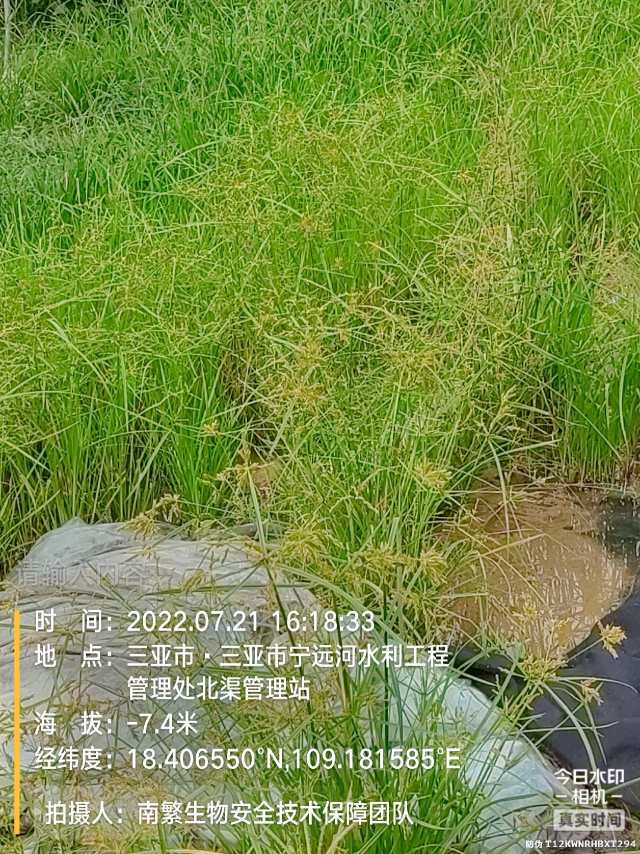 请输入内容…