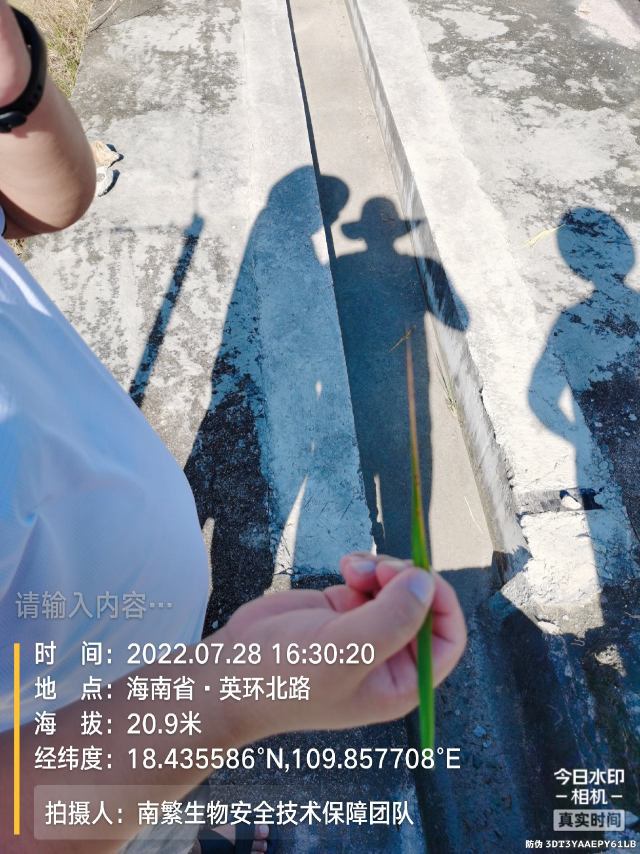 请输入内容…