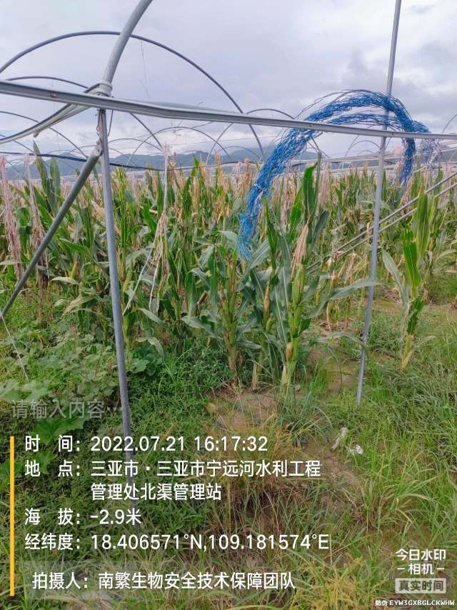 请输入内容…