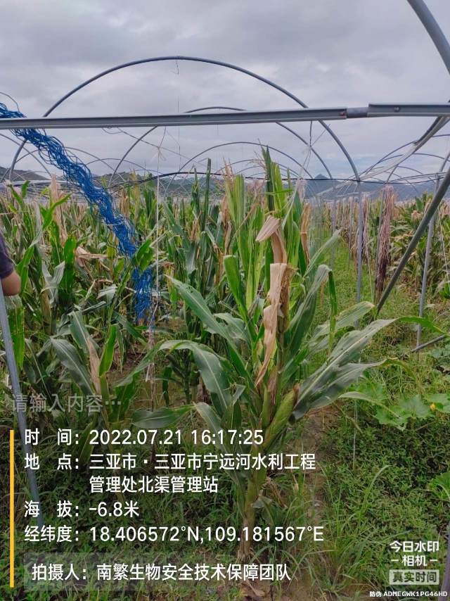 请输入内容…