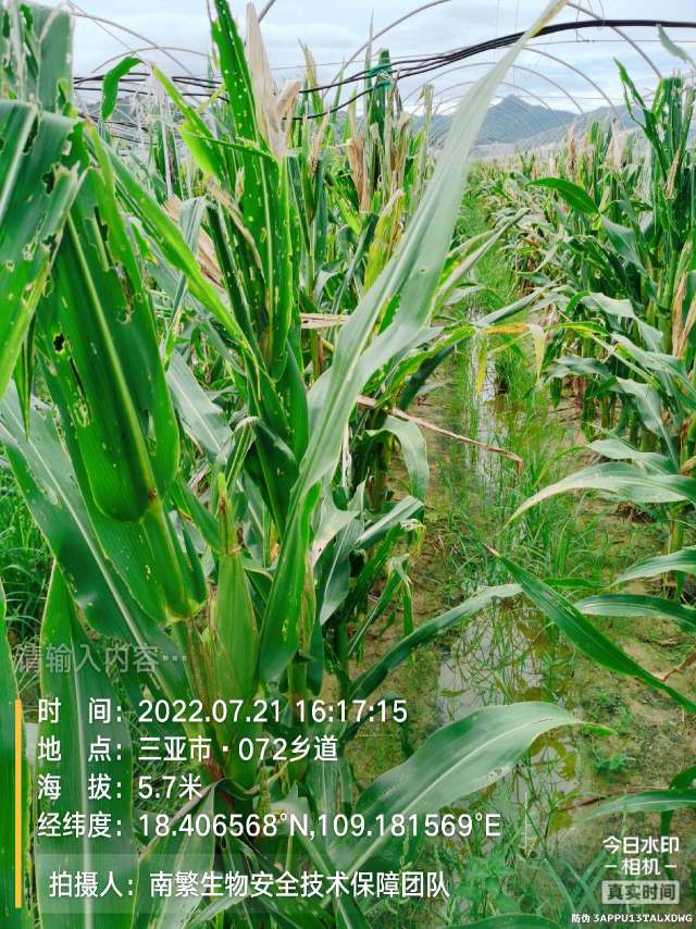 请输入内容…