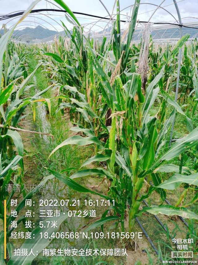 请输入内容…