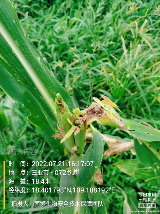 请输入内容…