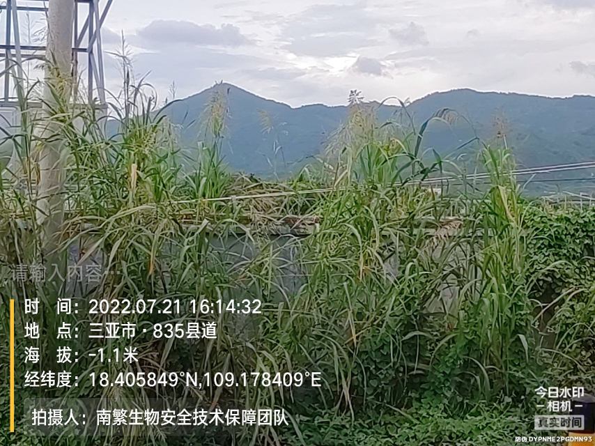 请输入内容…