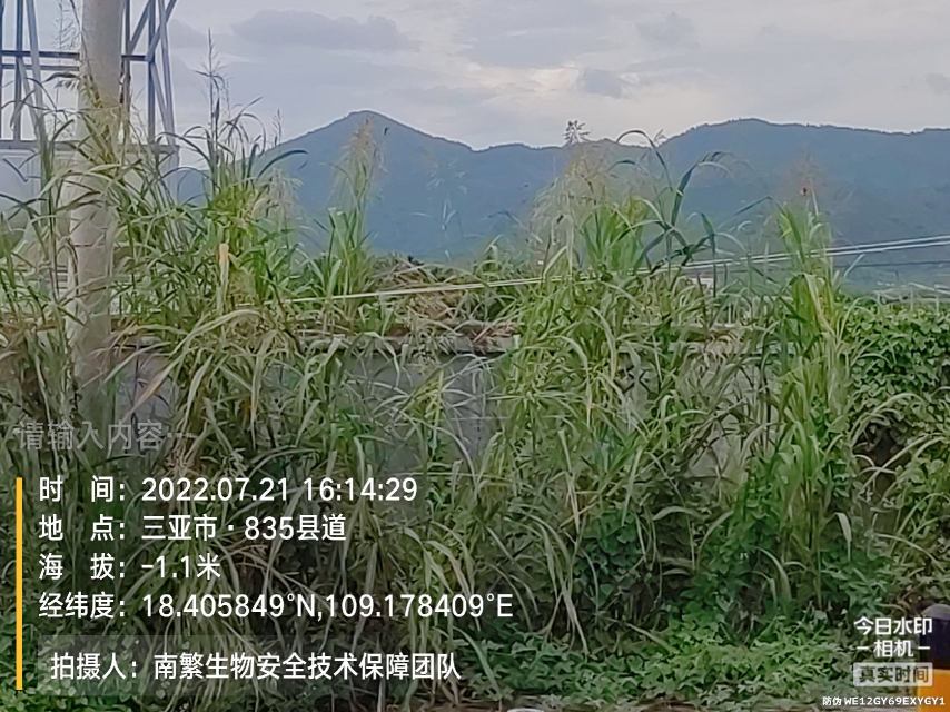 请输入内容…