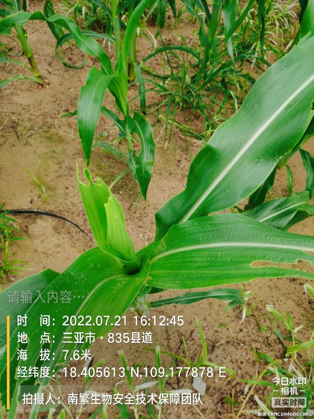 请输入内容…