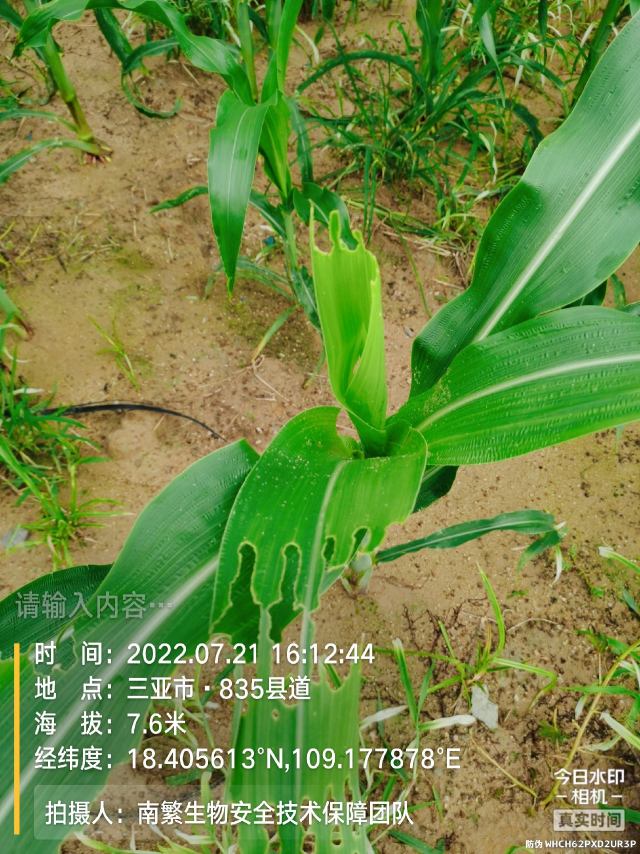 请输入内容…