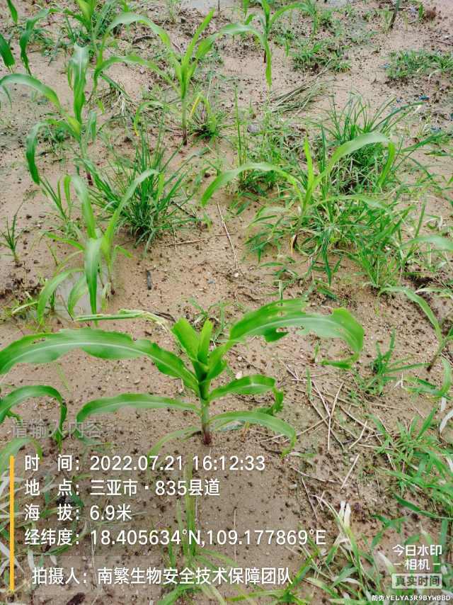 请输入内容…