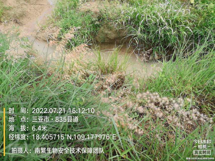 请输入内容…