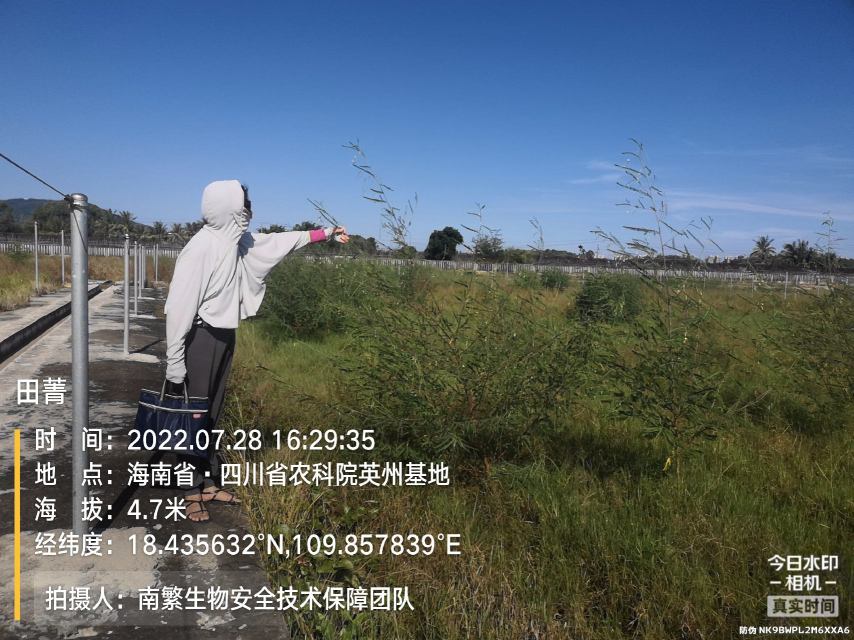 田菁