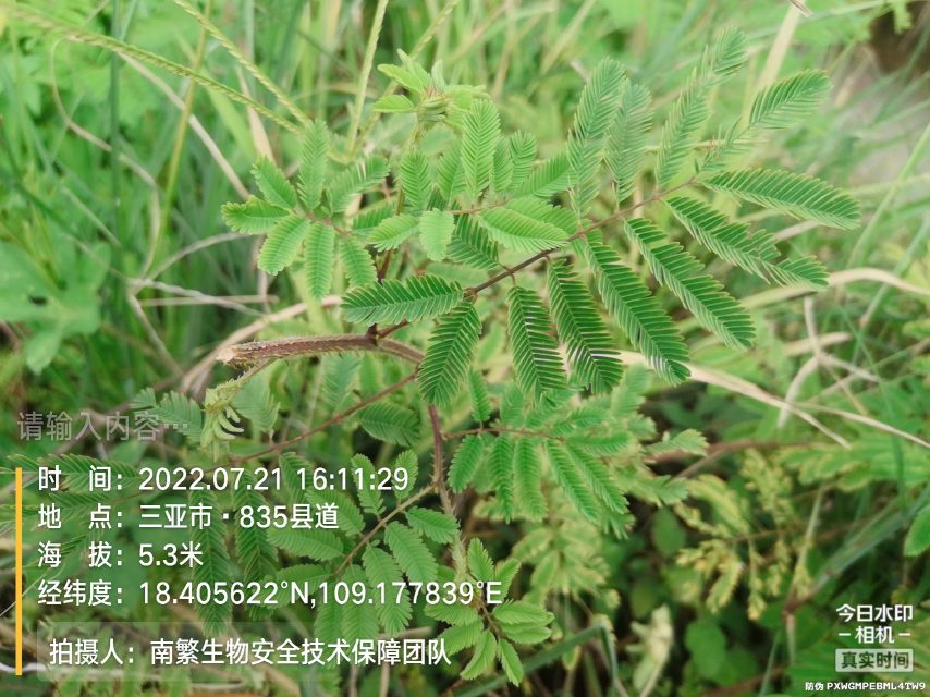 请输入内容…