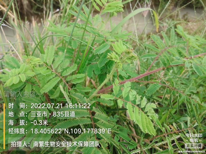 请输入内容…