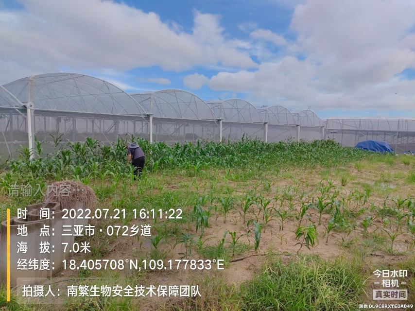 请输入内容…