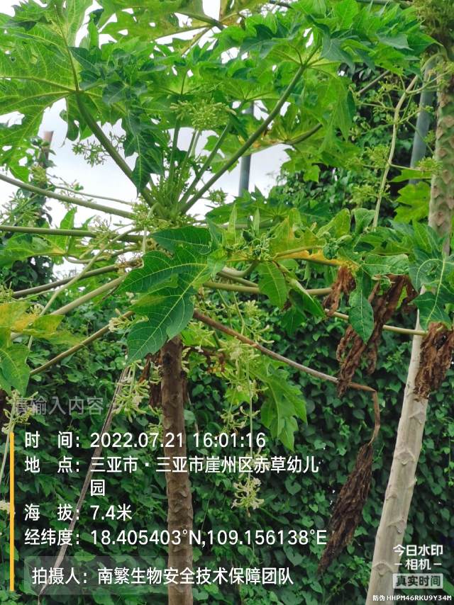 请输入内容…