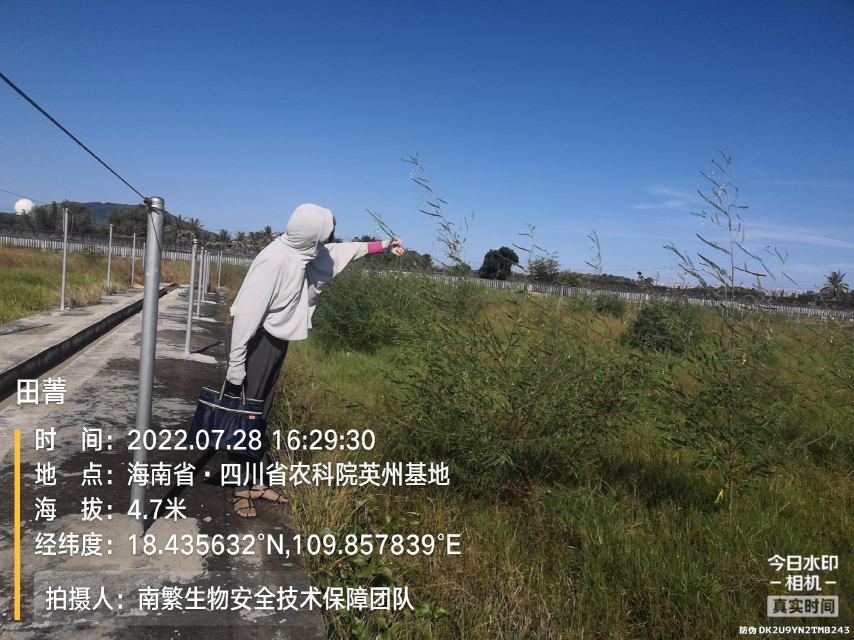 田菁