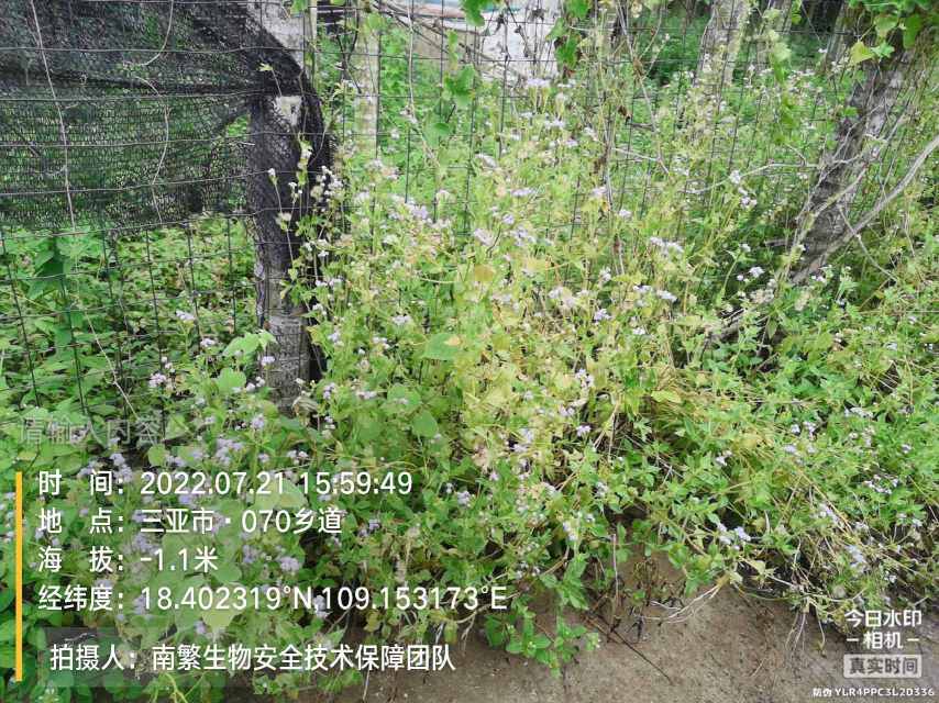请输入内容…