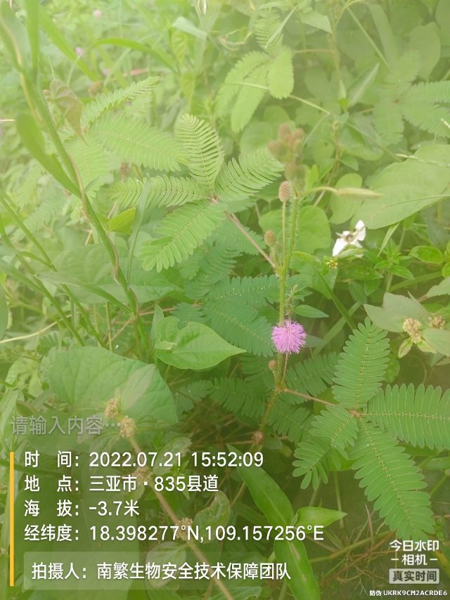 请输入内容…