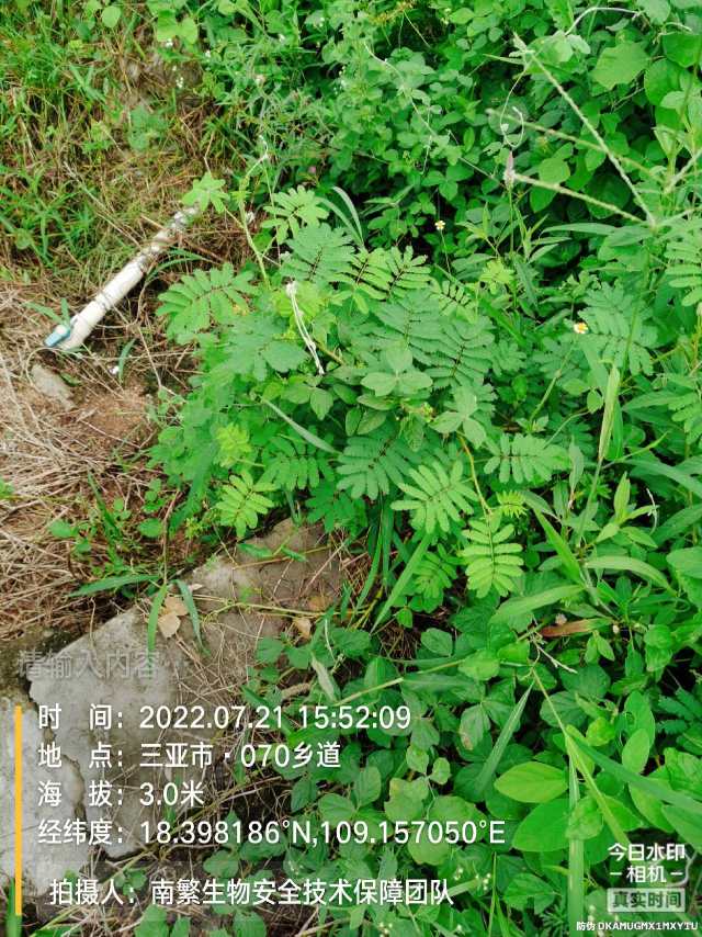 请输入内容…