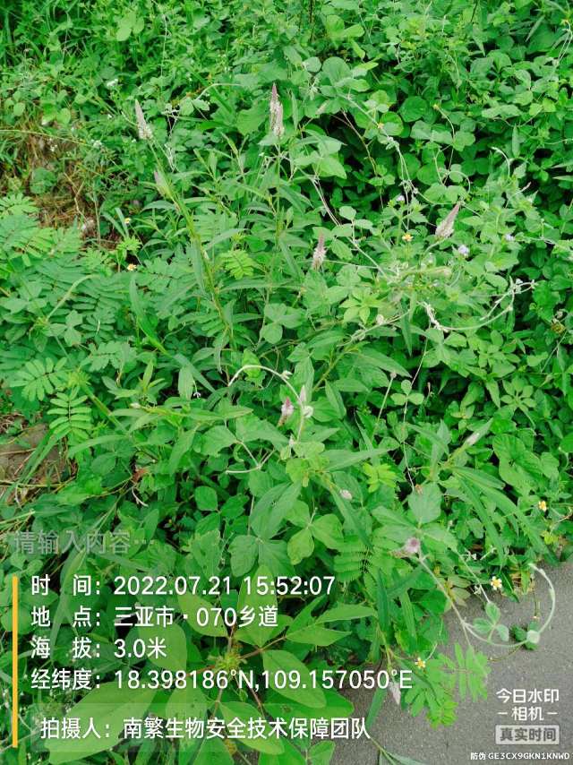 请输入内容…